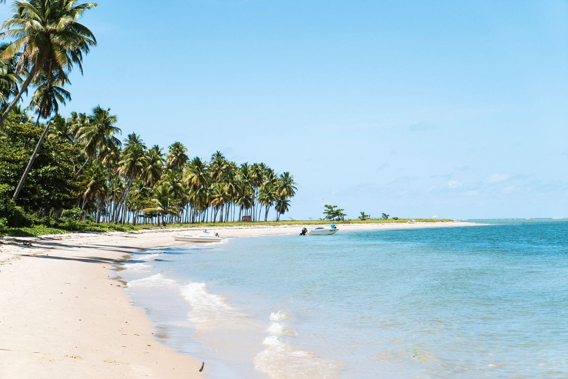 Beach Allergy (Image via Unsplash/David Enrich)